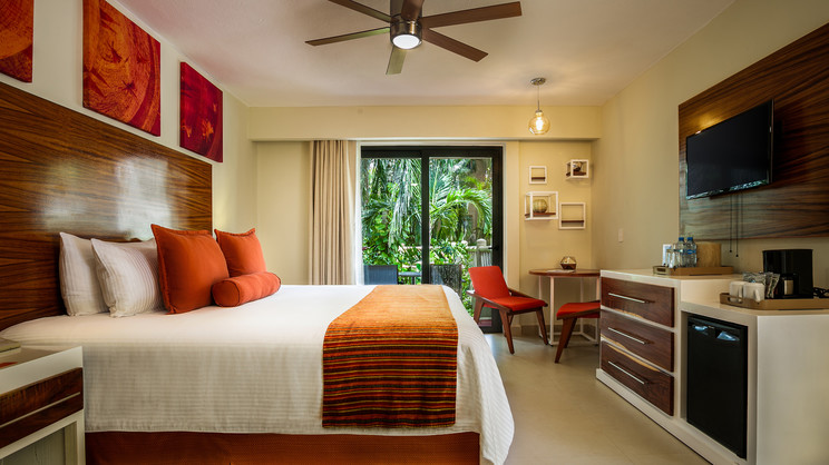 Deluxe Tropical View